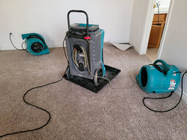 Best Water damage restoration near me  in Clinton, NC