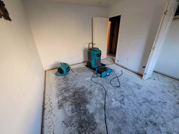  Clinton, NC Water damage restoration Pros