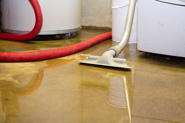 Best Sewage cleanup and water damage restoration  in Clinton, NC