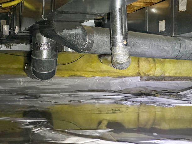 Best Water damage contractors near me  in Clinton, NC