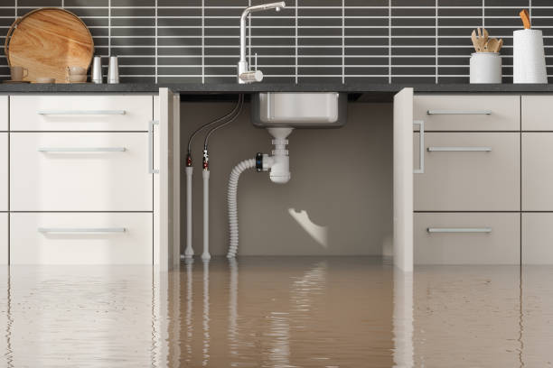 Best Water damage repair service  in Clinton, NC